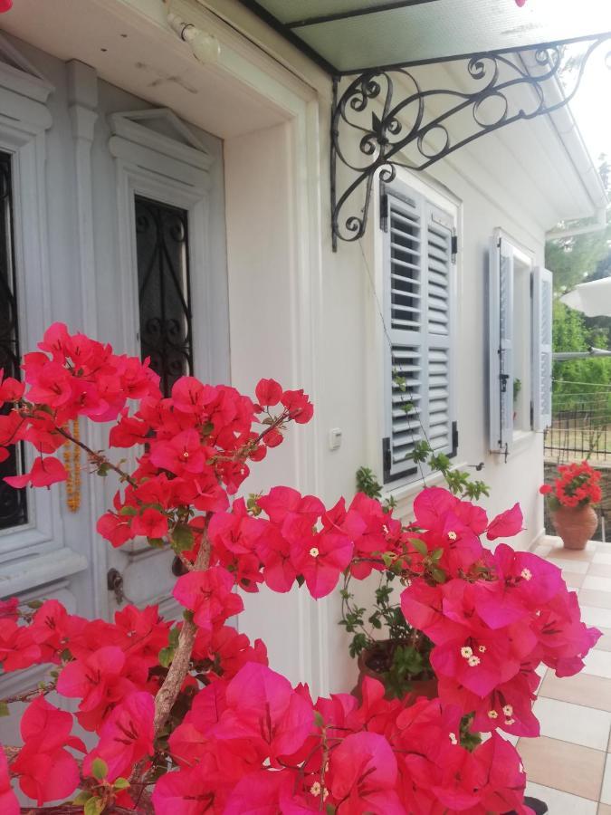 La Casa Di Caterina: Nature,Relax And Private Garden Лефкада Экстерьер фото